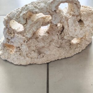 Rocha Natural Coral Morto 3,650kg