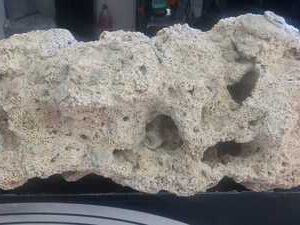 Rocha Natural Coral Morto 11,890kg