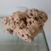 Rocha Natural Coral Morto 2,435kg