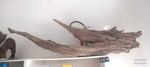 Tronco Grande 180x50x20