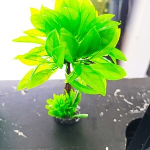 Decoração Arvore com capim 13x23cm bbb pet