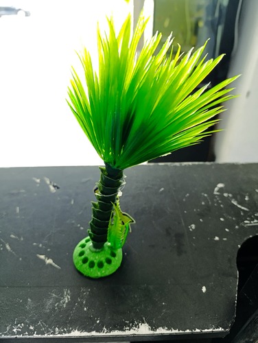 Decoração Coqueiro com Capim de 9x7cm bbb pet